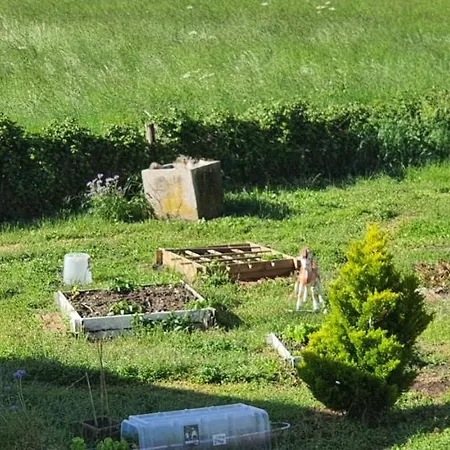 Chante Cristal Panzió Target