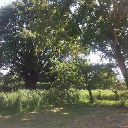 Chante Cristal 3* 타제