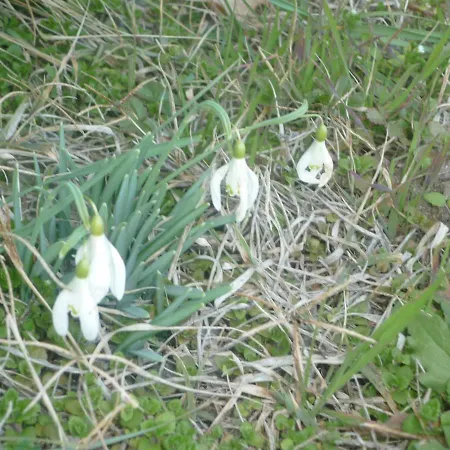 Chante Cristal Panzió