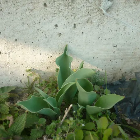 Panzió Chante Cristal 3*