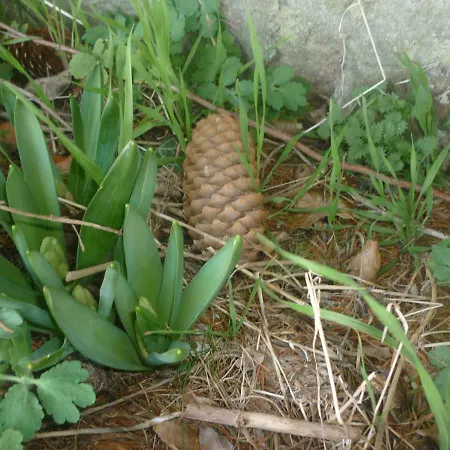 Chante Cristal Panzió