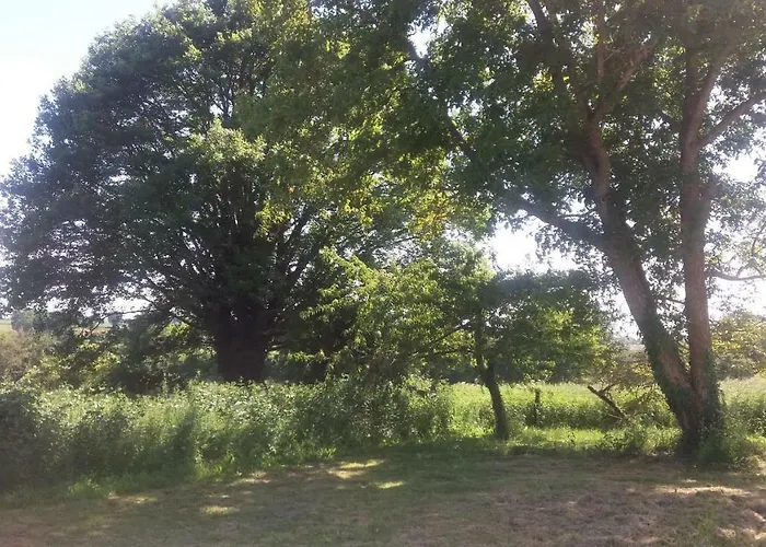 Chante Cristal 3* Target