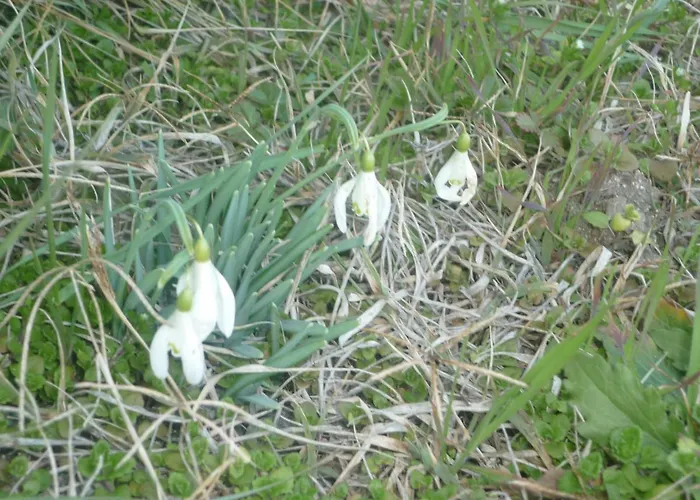 Chante Cristal Bed & Breakfast