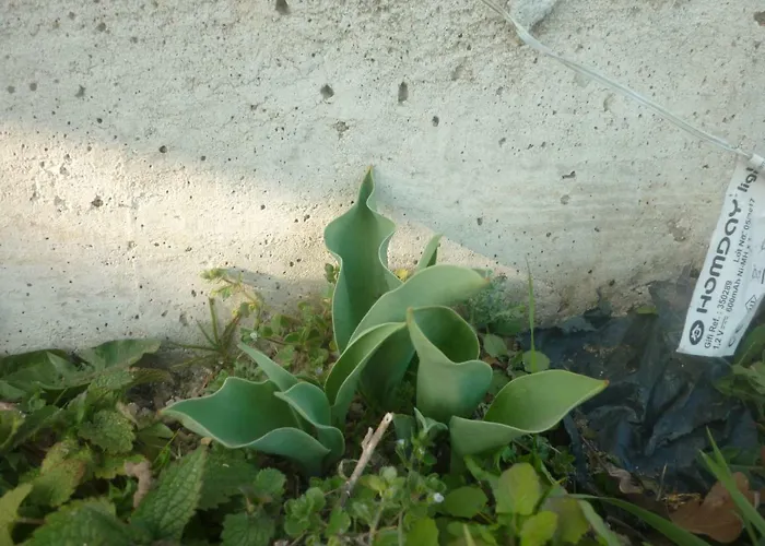 Bed & Breakfast Chante Cristal 3*