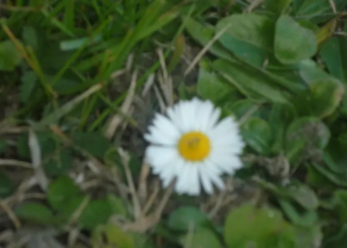 Chante Cristal Bed & Breakfast